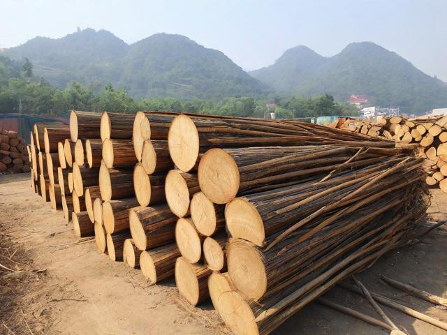 陕西山阳县那个林场有木材出售,陕西木材收购厂家电话