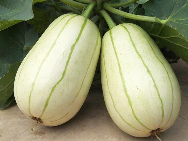 水冬瓜木材价格,水冬瓜木材多少一立方