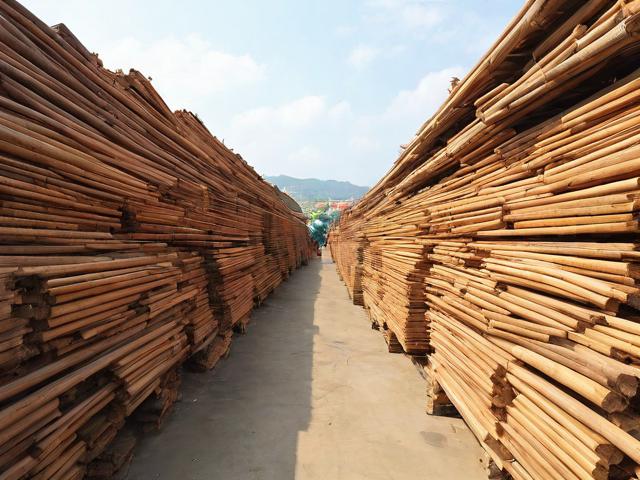 湛江木材市场,湛江木材市场地址